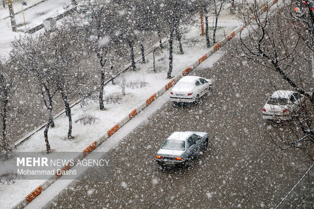 بارش برف در اردبیل