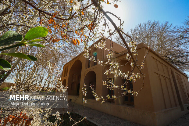 بهار زودرس در باغ‌شهر تاریخی مهریز