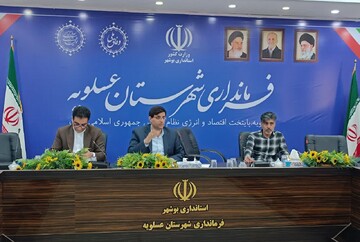 معاون فرماندار عسلویه: پرداخت وام مشاغل خانگی تسهیل شود