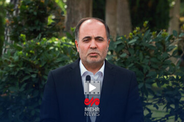 قزلجه: به سمت تک‌نرخی شدن ارز می رویم