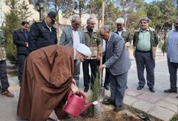 هر شهروند در استان سمنان ۳درخت بکارد؛ ضرورت نگهداری پس از کاشت نهال‌ها