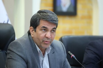 طالبی: سرمایه گذاری اولویت راهبردی استان کرمان است