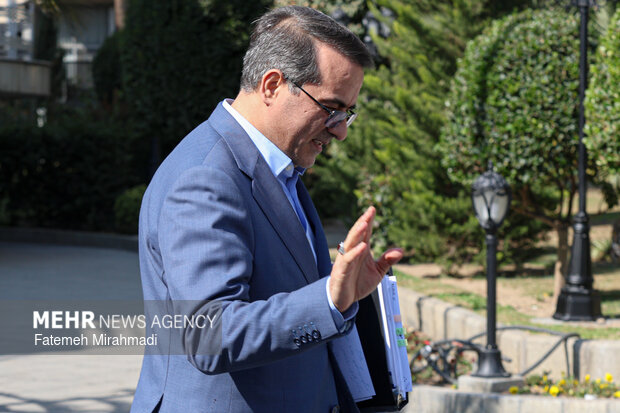 علاءالدین رفیع‌زاده رئیس سازمان اداری و استخدامی کشور در حاشیه جلسه هیات دولت