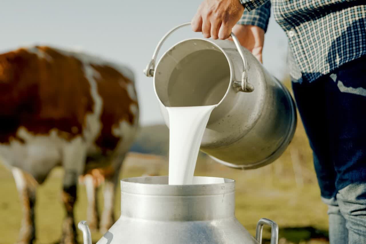 توليد،مديريت،كشاورزي،آببندان،مرمت،سرپرست،جهاد،تأمين،شهرستان، ...