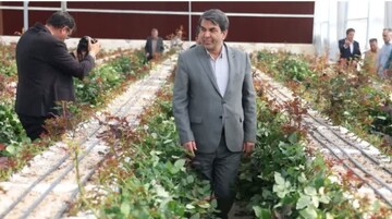 بهره‌برداری از گلخانه مکانیزه هیدروپونیک شهرستان زرند