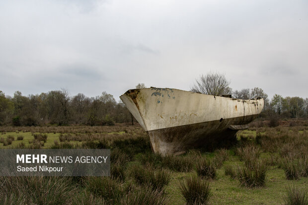 دشت لنج‌ها در روستای کمسار شفت