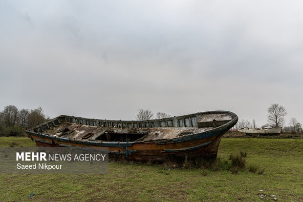 دشت لنج‌ها در روستای کمسار شفت