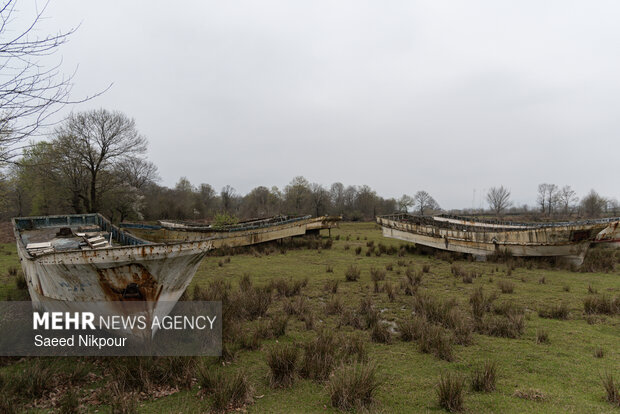 دشت لنج‌ها در روستای کمسار شفت