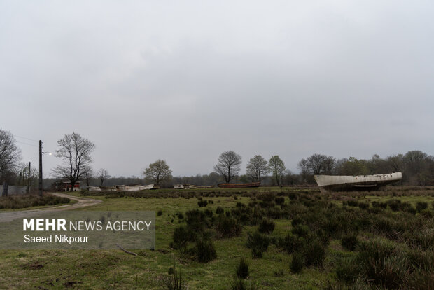 دشت لنج‌ها در روستای کمسار شفت