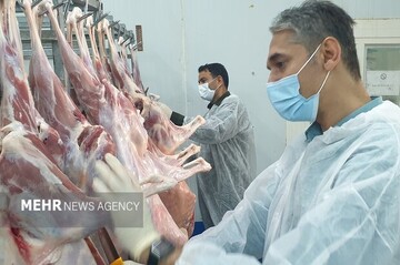 کشتارگاه‌های دام و طیور استان بوشهر با تمام توان فعال هستند