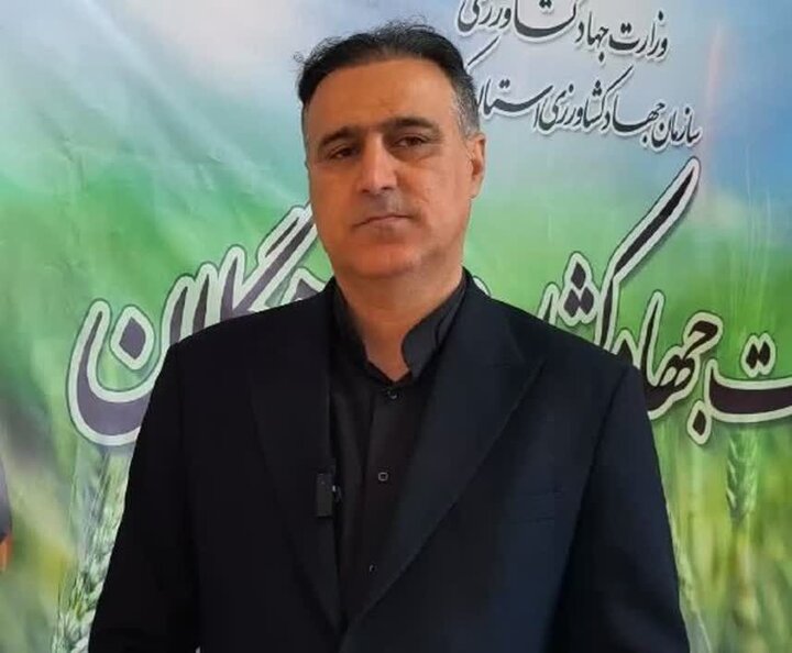 توزیع ۱۹ تن مرغ گرم و منجمد در دهگلان