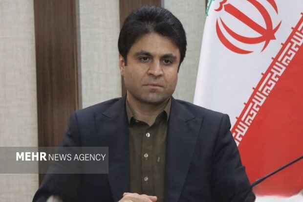 واردات ۶ هزار تن برنج از مرزهای سیستان و بلوچستان