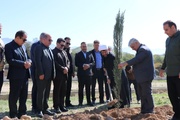 کاشت ۸۶ سرو در کازرون به یاد رهبر شهید انقلاب اسلامی