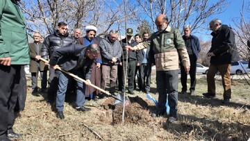 صادقی: کاشت نهال و درختکاری به فرهنگ عمومی تبدیل و نهادینه شود