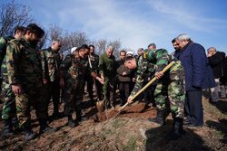 پویش درختکاری «سرو ایران» در اردبیل