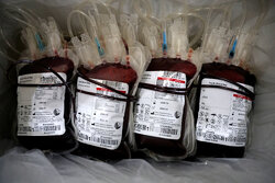 میرزاده: تیم سیار انتقال خون در سرپل‌ذهاب مستقر می‌شود