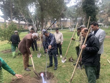 کاشت نهال توسط فرماندار کرمانشاه در روز درختکاری