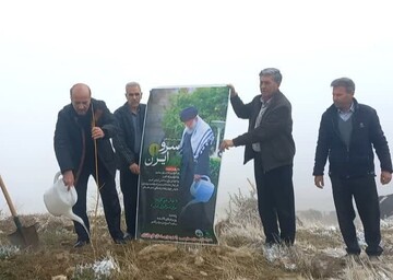 کاشت نهال به یاد رهبر شهید در کرمانشاه