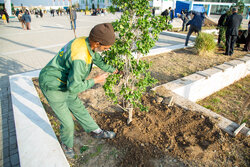 روز درختکاری در گرمسار به یاد رهبر شهید