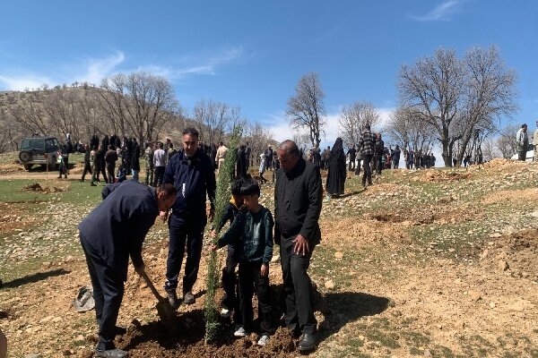 کاشت نهال «سرو ایران» در کهگیلویه و بویراحمد همزمان با روز درختکاری