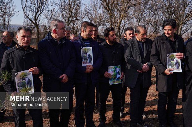 پویش درختکاری «سرو ایران» در اردبیل