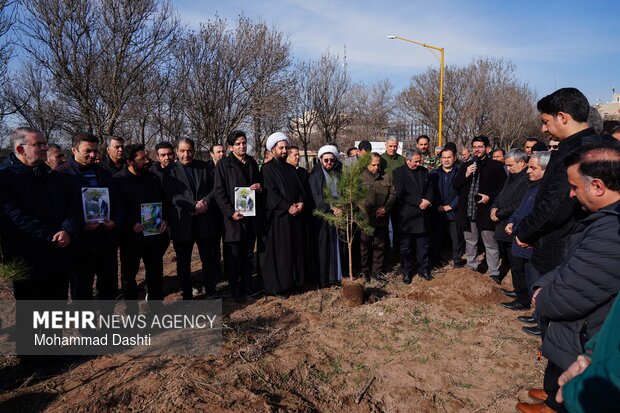 پویش درختکاری «سرو ایران» در اردبیل