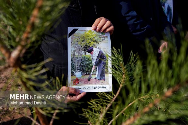 پویش درختکاری «سرو ایران» در اردبیل