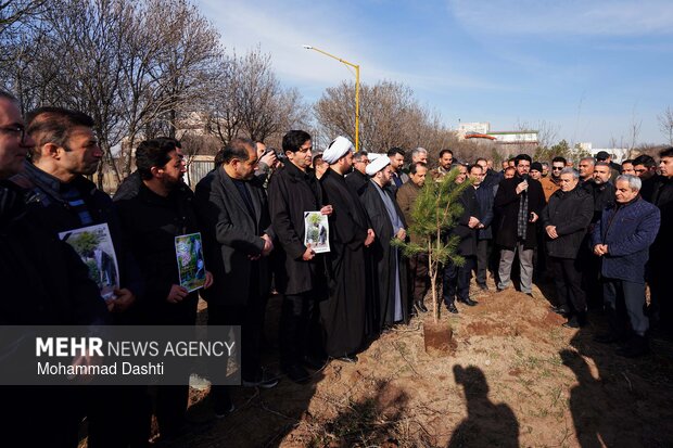 پویش درختکاری «سرو ایران» در اردبیل
