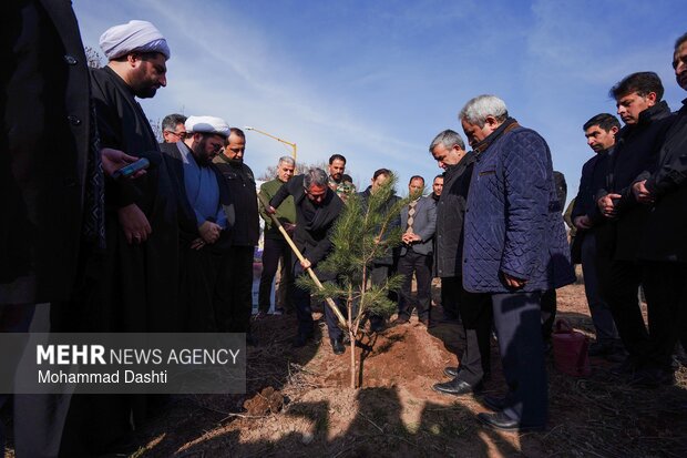 پویش درختکاری «سرو ایران» در اردبیل