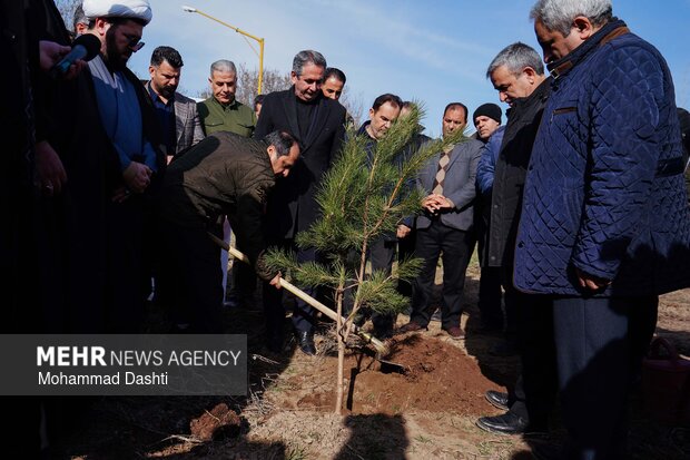 پویش درختکاری «سرو ایران» در اردبیل