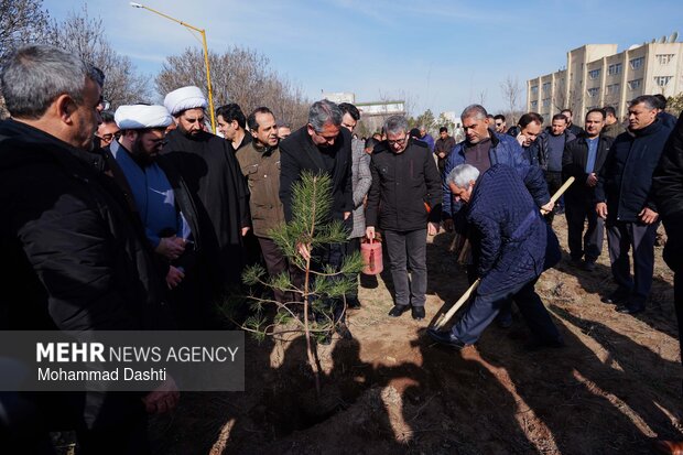 پویش درختکاری «سرو ایران» در اردبیل
