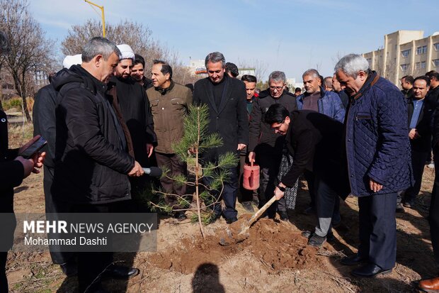 پویش درختکاری «سرو ایران» در اردبیل