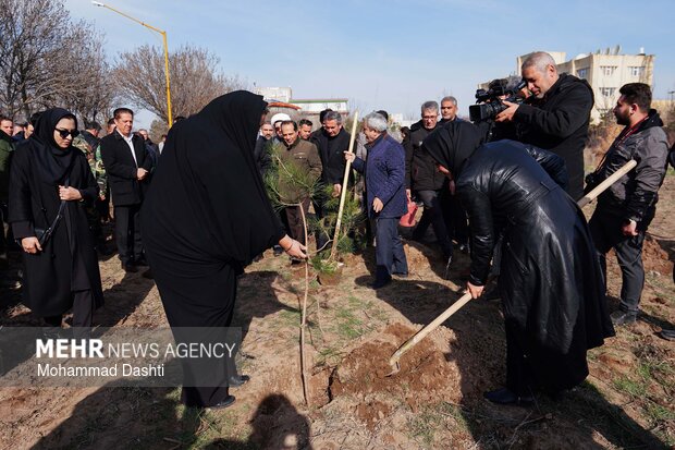 پویش درختکاری «سرو ایران» در اردبیل