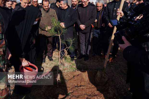 پویش درختکاری «سرو ایران» در اردبیل