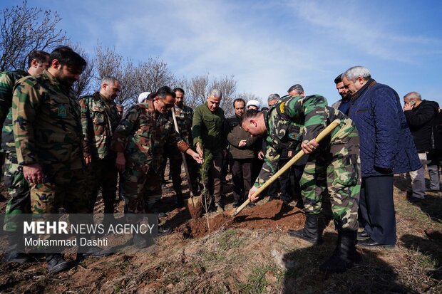 پویش درختکاری «سرو ایران» در اردبیل