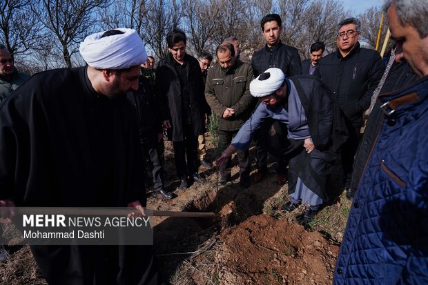 پویش درختکاری «سرو ایران» در اردبیل