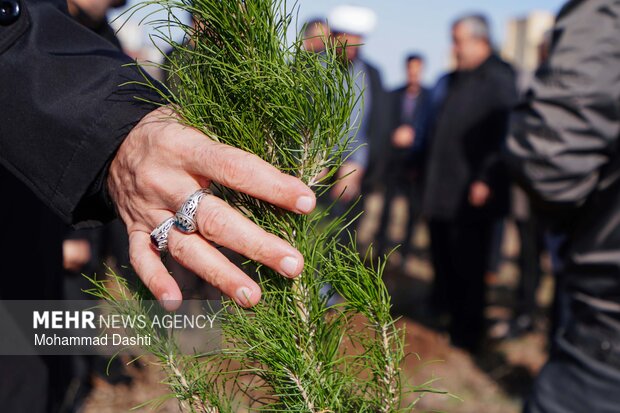 پویش درختکاری «سرو ایران» در اردبیل