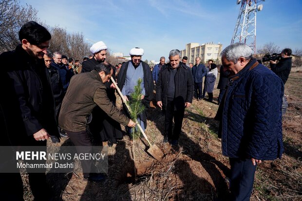 پویش درختکاری «سرو ایران» در اردبیل