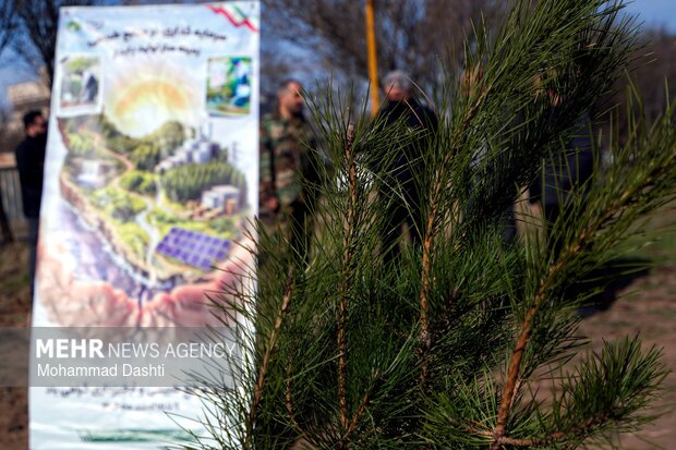 پویش درختکاری «سرو ایران» در اردبیل