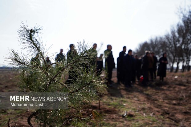 پویش درختکاری «سرو ایران» در اردبیل