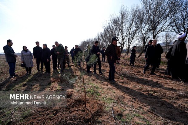 پویش درختکاری «سرو ایران» در اردبیل