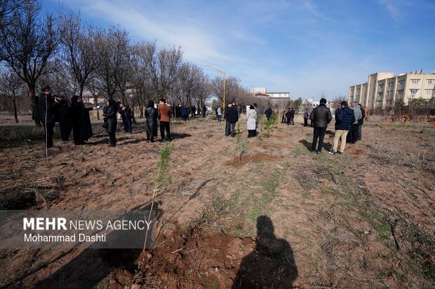 پویش درختکاری «سرو ایران» در اردبیل