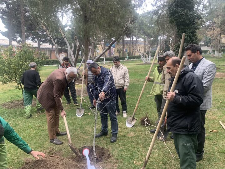 کاشت نهال توسط فرماندار کرمانشاه در روز درختکاری