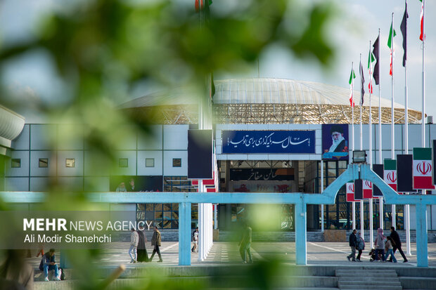 پویش ملی درختکاری «سرو ایران» در مشهد