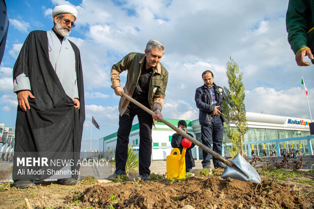 پویش ملی درختکاری «سرو ایران» در مشهد