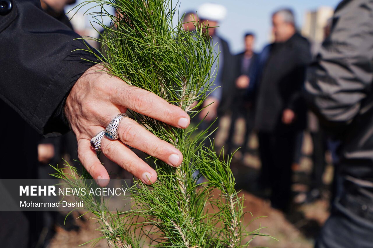 قرارگاه جهادی «سرو ایران» تشکیل شد