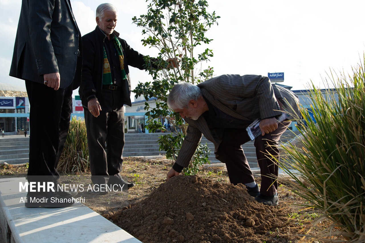 تامین ۲۵ میلیون اصله نهال منابع طبیعی برای توزیع میان مردم