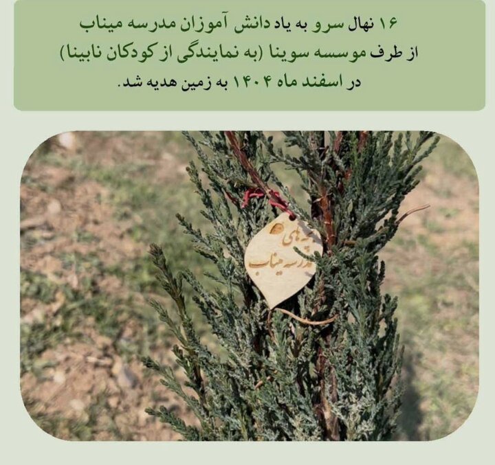 سوینا به یاد بچه‌های مدرسه میناب درخت سرو کاشت