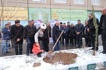درختکاری به یاد رهبر شهید در تبریز