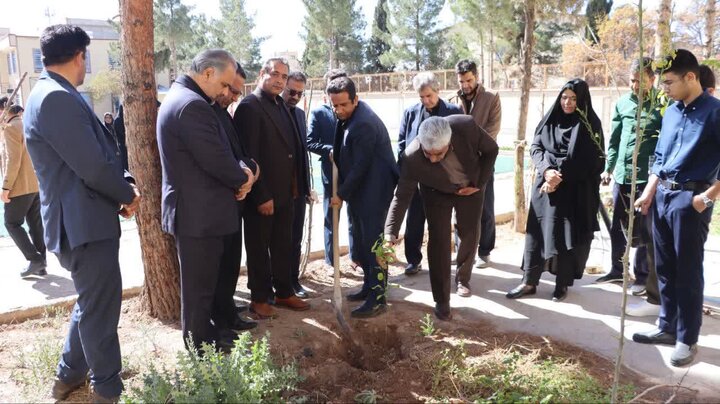 کاشت ۵ هزار اصله درخت در مدارس کرمان به نام شهدای دانش آموز و معلم